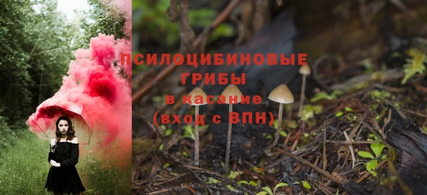 герыч Анжеро-Судженск