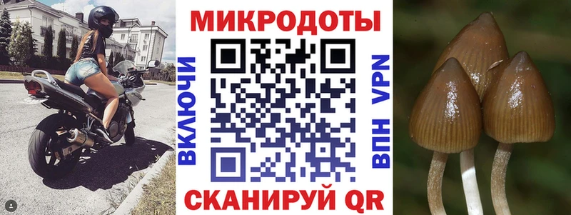 где найти наркотики  Сортавала  Галлюциногенные грибы мухоморы 
