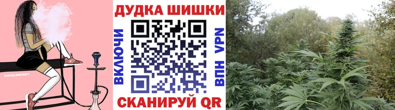 Бошки Шишки ГИДРОПОН  где купить наркоту  Сортавала 